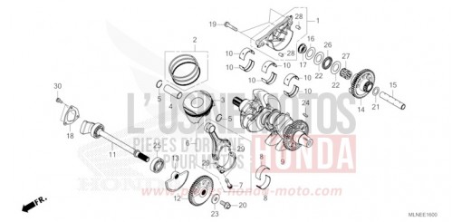 VILEBREQUIN/PISTON CRF1100D3S de 2025
